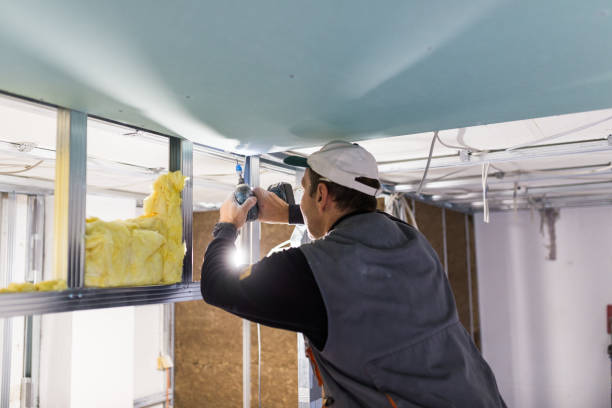 Best Types of Insulation in Silver Bay, MN